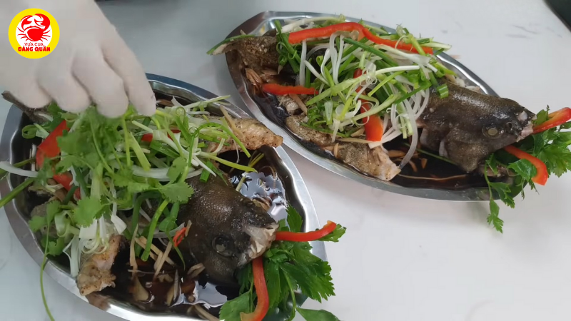 Hoàn thiện và trình bày