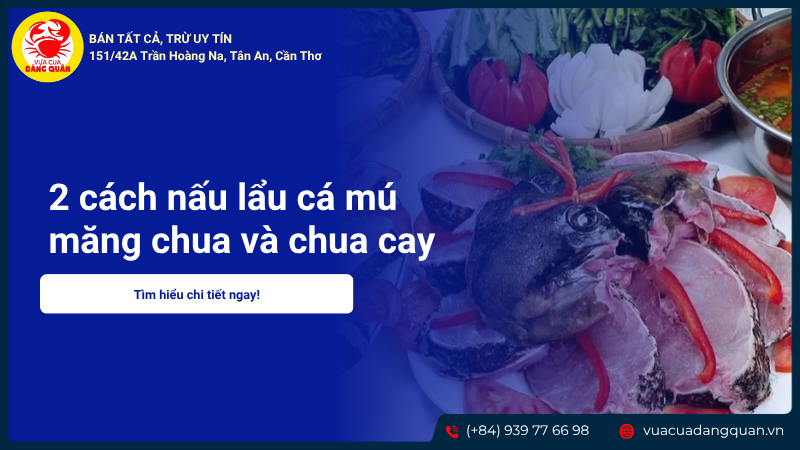 2 cách nấu lẩu cá mú măng chua và chua cay thơm ngon tại nhà