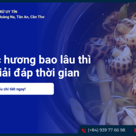 Luộc ốc hương bao lâu thì chín? Giải đáp thời gian chuẩn nhất