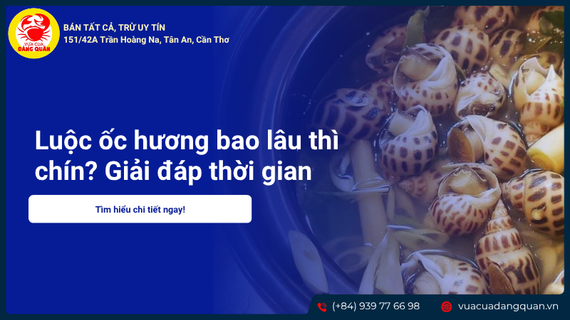 Luộc ốc hương bao lâu thì chín? Giải đáp thời gian chuẩn nhất