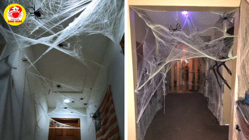 Mạng nhện giăng khắp nơi