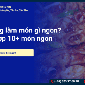 Mực ống làm món gì ngon? Tổng hợp 10+ món ngon dễ làm tại nhà