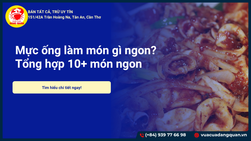 Mực ống làm món gì ngon? Tổng hợp 10+ món ngon dễ làm tại nhà