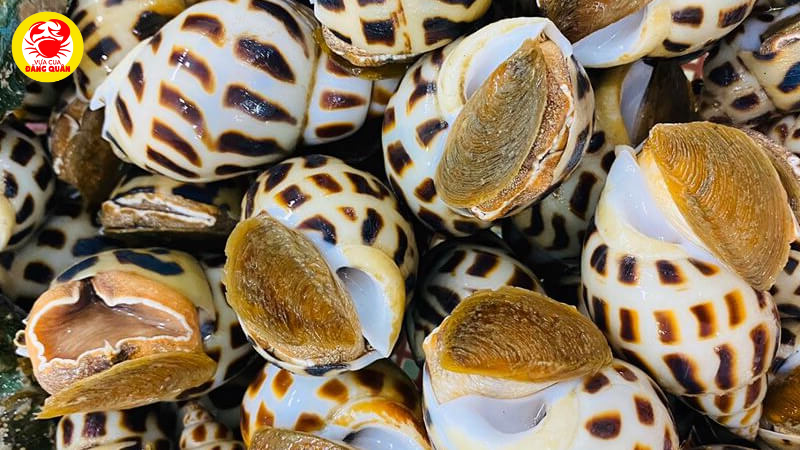 Nguyên liệu cần chuẩn bị ốc hương xào bơ bắp