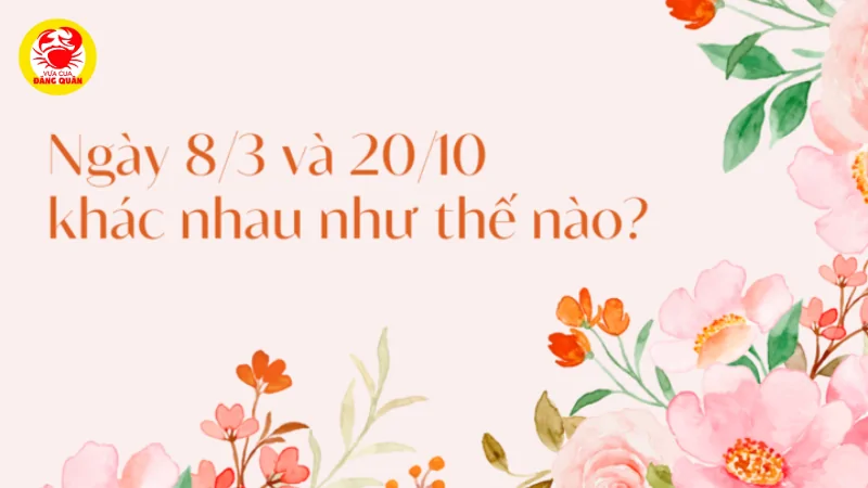 Những điểm khác biệt với 8/3
