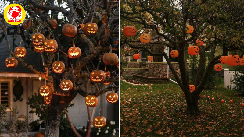 Những quả bí ngô Jack-O' title=