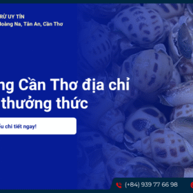 Ốc hương Cần Thơ địa chỉ mua và thưởng thức tươi ngon, giá tốt nhất