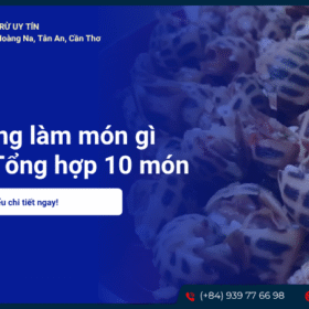 Ốc hương làm món gì ngon? Tổng hợp 10+ món ngon khó cưỡng