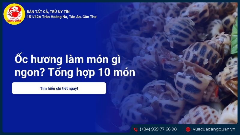 Ốc hương làm món gì ngon? Tổng hợp 10+ món ngon khó cưỡng