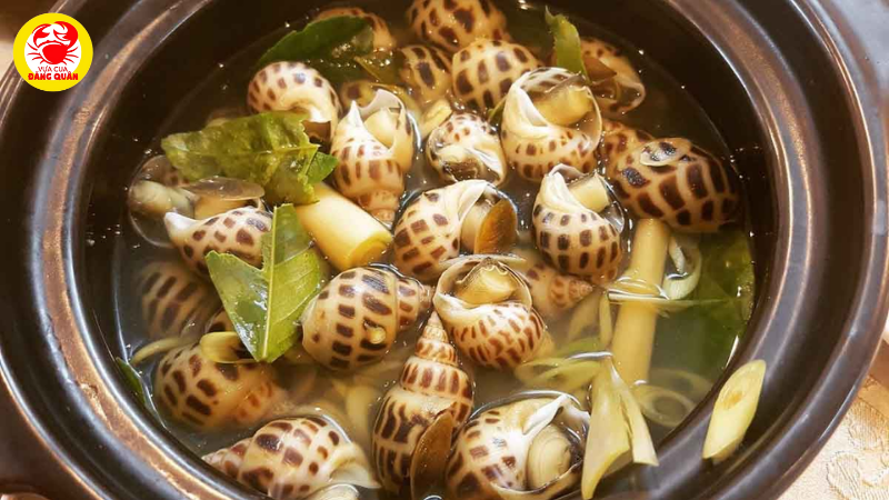 Ốc hương luộc