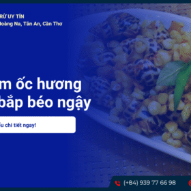 Cách làm ốc hương xào bơ bắp béo ngậy, thơm lừng vị ngọt