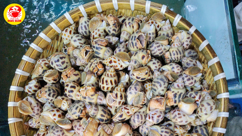 Những rủi ro tiềm ẩn mẹ bầu cần biết