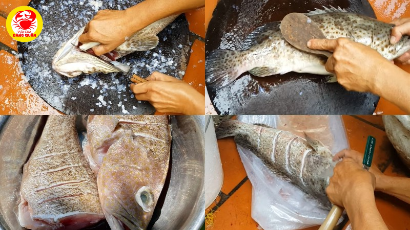 Sơ chế cá mú