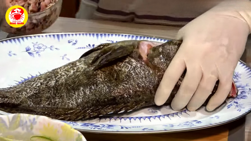 Cách sơ chế cá mú không tanh