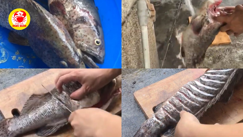 Sơ chế cá mú nướng giấy bạc