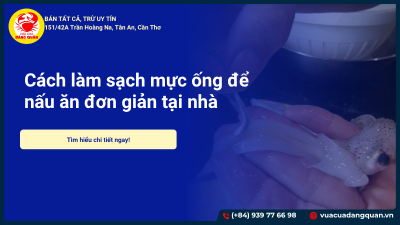 Cách sơ chế mực ống để nấu ăn đơn giản tại nhà 2025