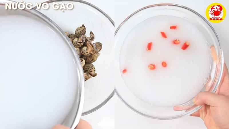 Sơ chế ốc và các nguyên liệu
