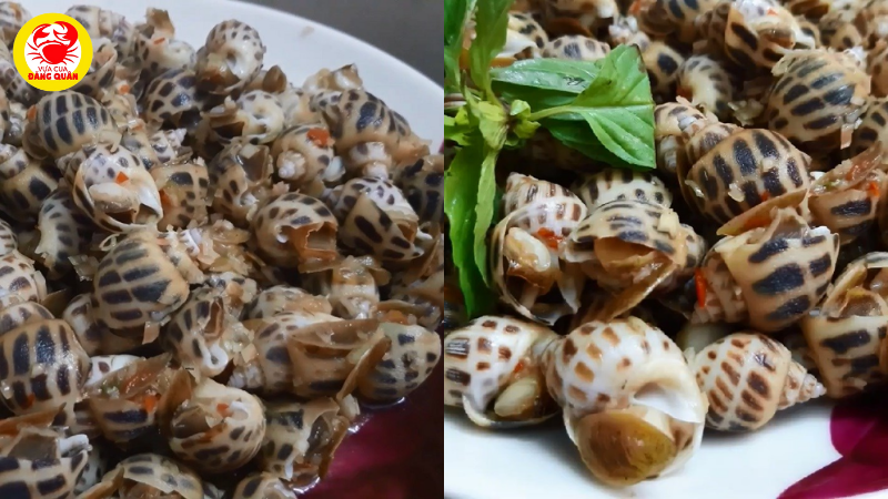 Thành phẩm ốc hương xào sả ớt