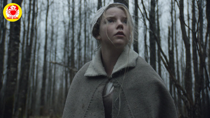 The Witch (2015) - Phù Thủy