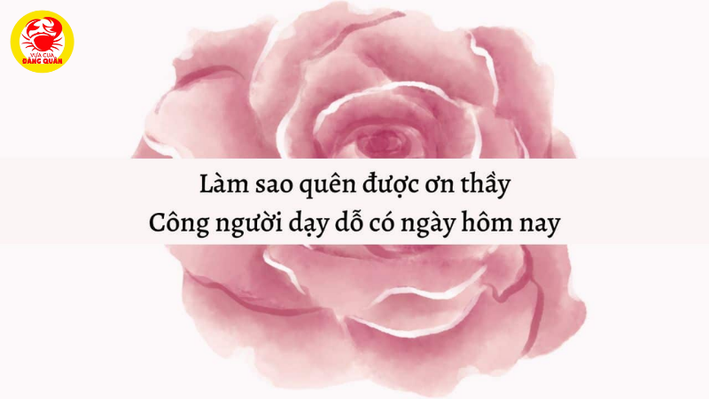 Thơ về 20/11 cảm động