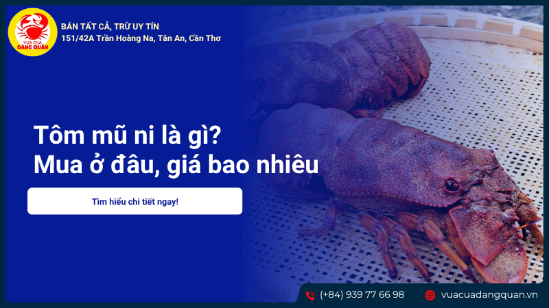 Tôm mũ ni là gì? Mua ở đâu, giá bao nhiêu và cách chế biến tôm mũ ni