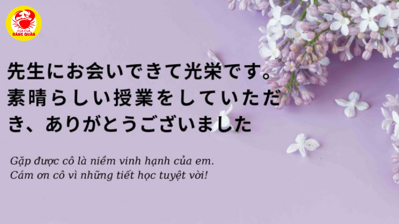 Lời chúc thầy cô 20/11 bằng tiếng Nhật theo từng đối tượng
