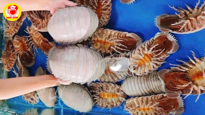 Tùy chọn sơ chế nâng cao theo món ăn