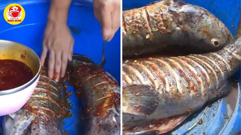 Ướp cá mú nướng sa tế